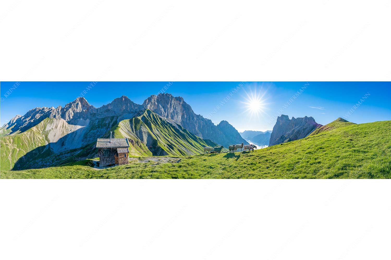 Malerische Sommerweide – Seitenverhältnis 4:1 — Schafe Erinnerungshütte Wetterstein Bergschafe an der Erinnerungshütte am Scharnitzjoch im Wettersteingebirge