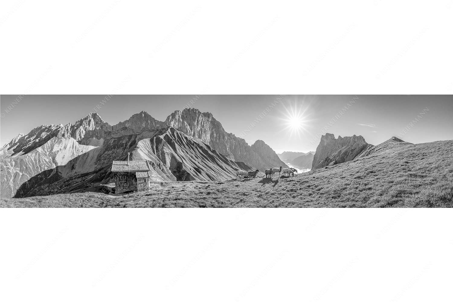 Malerische Sommerweide – Seitenverhältnis 4:1 — Schafe Erinnerungshütte Wetterstein Bergschafe an der Erinnerungshütte am Scharnitzjoch im Wettersteingebirge