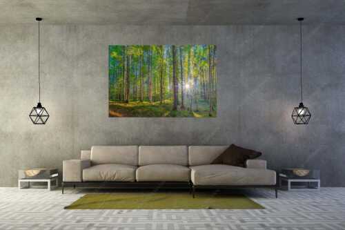 Erstes Sonnenlicht im Buchenwald - Morgens im Wald - Größe ca. 180x120cm, Seitenverhältnis 3:2 - Sonnenlicht Waldboden - weitere Infos unter https://www.kriner-weiermann.de