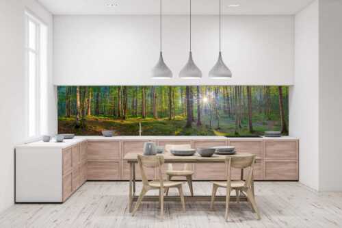 Erstes Sonnenlicht im Buchenwald - Morgens im Wald - Größe ca. 400x100cm, Seitenverhältnis 4:1 - Sonnenlicht Waldboden - weitere Infos unter https://www.kriner-weiermann.de