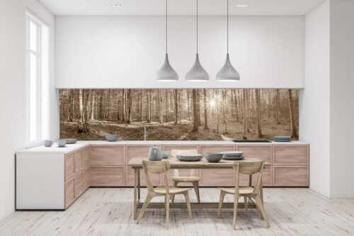 Erstes Sonnenlicht im Buchenwald - Morgens im Wald - Größe ca. 400x100cm, Seitenverhältnis 4:1 - Sonnenlicht Waldboden - weitere Infos unter https://www.kriner-weiermann.de