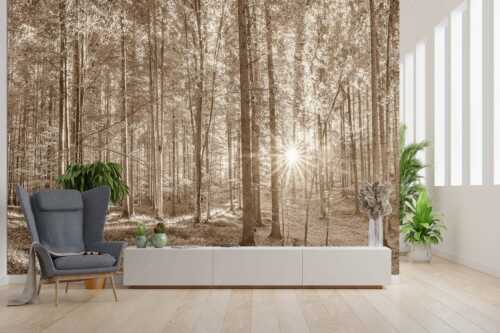 Erstes Sonnenlicht im Buchenwald - Morgens im Wald - Größe ca. 300x200cm, Seitenverhältnis 3:2 - Sonnenlicht Waldboden - weitere Infos unter https://www.kriner-weiermann.de