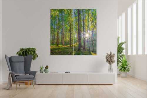 Erstes Sonnenlicht im Buchenwald - Morgens im Wald - 4er Split, Größe ca. 180x180cm, Seitenverhältnis 1:1 - Sonnenlicht Waldboden - weitere Infos unter https://www.kriner-weiermann.de