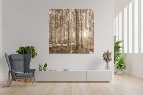 Erstes Sonnenlicht im Buchenwald - Morgens im Wald - 4er Split, Größe ca. 180x180cm, Seitenverhältnis 1:1 - Sonnenlicht Waldboden - weitere Infos unter https://www.kriner-weiermann.de