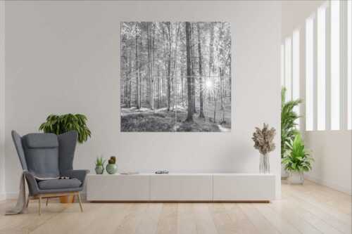 Erstes Sonnenlicht im Buchenwald - Morgens im Wald - 4er Split, Größe ca. 180x180cm, Seitenverhältnis 1:1 - Sonnenlicht Waldboden - weitere Infos unter https://www.kriner-weiermann.de