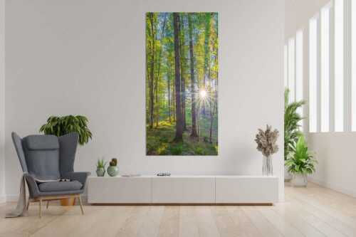 Erstes Sonnenlicht im Buchenwald - Morgens im Wald - Größe ca. 90x180cm, Seitenverhältnis 1:2 - Sonnenlicht Waldboden - weitere Infos unter https://www.kriner-weiermann.de