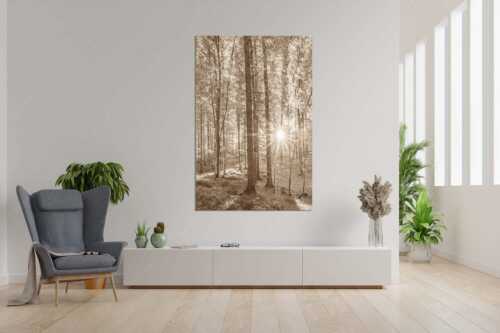 Erstes Sonnenlicht im Buchenwald - Morgens im Wald - Größe ca. 120x180cm, Seitenverhältnis 2:3 - Sonnenlicht Waldboden - weitere Infos unter https://www.kriner-weiermann.de