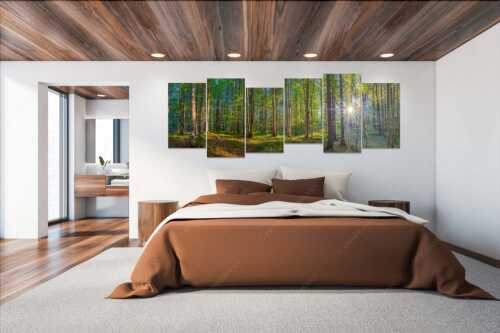 Erstes Sonnenlicht im Buchenwald - Morgens im Wald - 6er Split, Größe ca. 280x112cm, Seitenverhältnis 2,5:1 - Sonnenlicht Waldboden - weitere Infos unter https://www.kriner-weiermann.de