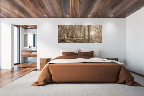 Erstes Sonnenlicht im Buchenwald - Morgens im Wald - Größe ca. 200x80cm, Seitenverhältnis 2,5:1 - Sonnenlicht Waldboden - weitere Infos unter https://www.kriner-weiermann.de