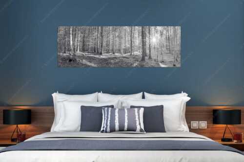 Erstes Sonnenlicht im Buchenwald - Morgens im Wald - Größe ca. 180x60cm, Seitenverhältnis 3:1 - Sonnenlicht Waldboden - weitere Infos unter https://www.kriner-weiermann.de