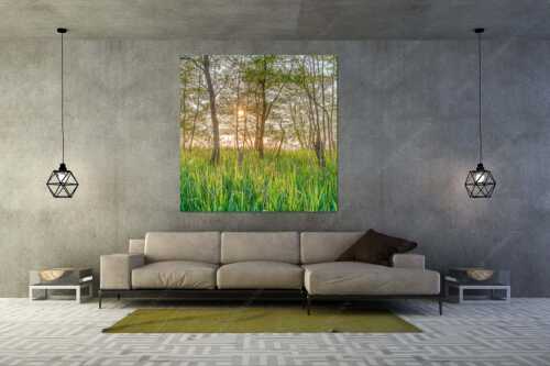 Die meisten Uferregionen am Barmsee bieten noch eine unberührte und unzugängliche Natur - Natur pur - Größe ca. 160x160cm, Seitenverhältnis 1:1 - Sonnenaufgang am Barmsee - weitere Infos unter https://www.kriner-weiermann.de