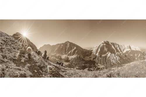 Bergschafe am Sunntiger bei Sonnenaufgang mit Blick zur Speckkar- und Lafatscherspitzen - Neugierige Bergschaferl - Seitenverhältnis 2,5:1 - Schafe am Suntiger im Karwendel - weitere Infos unter https://www.kriner-weiermann.de