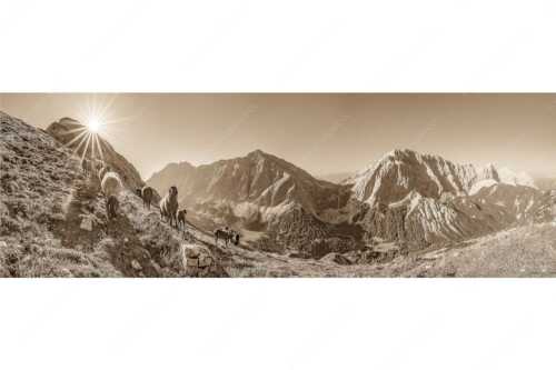Bergschafe am Sunntiger bei Sonnenaufgang mit Blick zur Speckkar- und Lafatscherspitzen - Neugierige Bergschaferl - Seitenverhältnis 3:1 - Schafe am Suntiger im Karwendel - weitere Infos unter https://www.kriner-weiermann.de