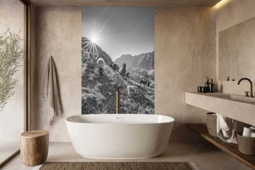Bergschafe am Sunntiger bei Sonnenaufgang mit Blick zur Speckkar- und Lafatscherspitzen - Neugierige Bergschaferl - Größe ca. 160x240cm, Seitenverhältnis 2:3 - Schafe am Suntiger im Karwendel - weitere Infos unter https://www.kriner-weiermann.de