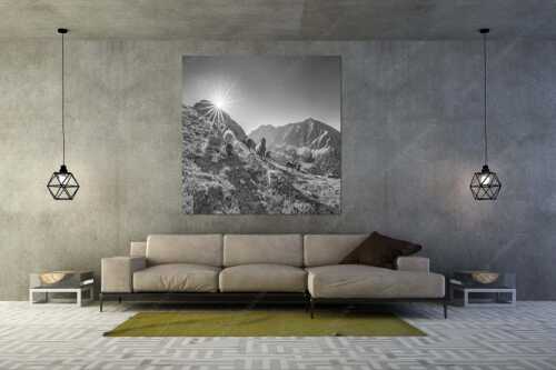 Bergschafe am Sunntiger bei Sonnenaufgang mit Blick zur Speckkar- und Lafatscherspitzen - Neugierige Bergschaferl - Größe ca. 160x160cm, Seitenverhältnis 1:1 - Schafe am Suntiger im Karwendel - weitere Infos unter https://www.kriner-weiermann.de