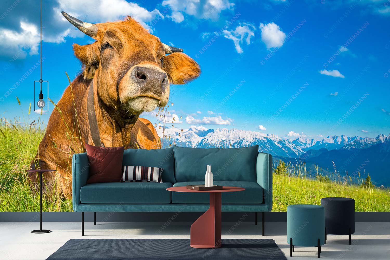 Reine Genusssache – Größe ca. 400x200cm, Seitenverhältnis 2:1 — Murnau-Werdenfelser Rind Murnau Werdenfelser Jungvieh genießt die Abendsonne im Estergebirge - Reine Genusssache - Größe ca. 400x200cm, Seitenverhältnis 2:1 - Murnau-Werdenfelser Rind - weitere Infos unter https://www.kriner-weiermann.de