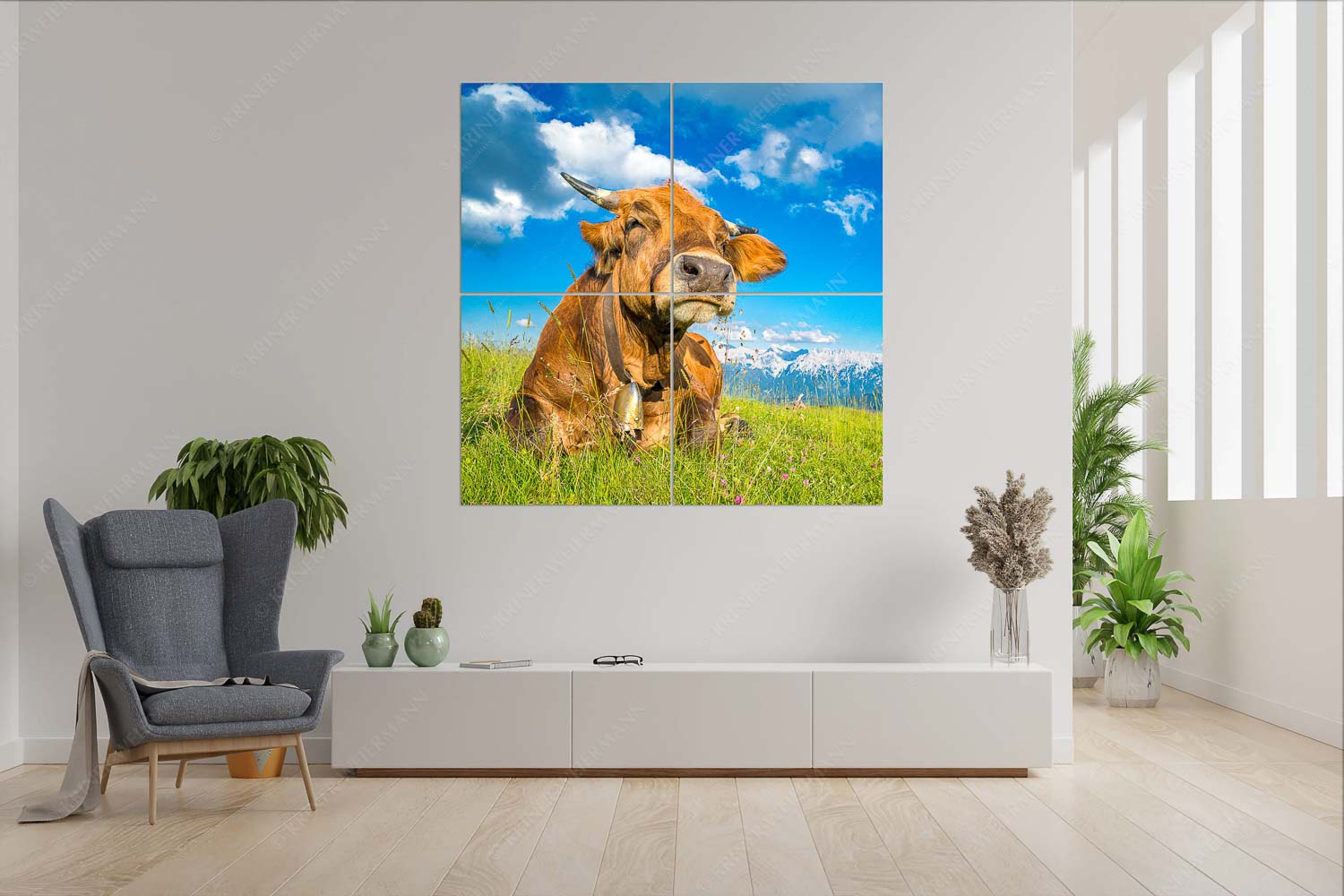 Reine Genusssache – 4er Split, Größe ca. 180x180cm, Seitenverhältnis 1:1 — Murnau-Werdenfelser Rind Murnau Werdenfelser Jungvieh genießt die Abendsonne im Estergebirge - Reine Genusssache - 4er Split, Größe ca. 180x180cm, Seitenverhältnis 1:1 - Murnau-Werdenfelser Rind - weitere Infos unter https://www.kriner-weiermann.de