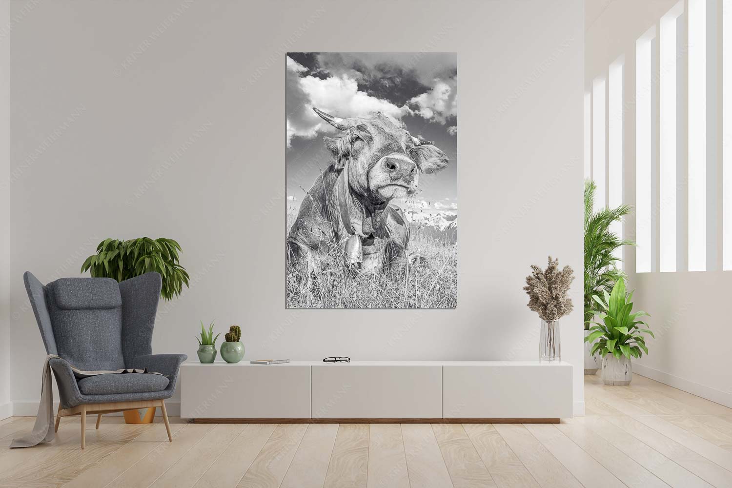 Reine Genusssache – Größe ca. 120x180cm, Seitenverhältnis 2:3 — Murnau-Werdenfelser Rind Murnau Werdenfelser Jungvieh genießt die Abendsonne im Estergebirge - Reine Genusssache - Größe ca. 120x180cm, Seitenverhältnis 2:3 - Murnau-Werdenfelser Rind - weitere Infos unter https://www.kriner-weiermann.de