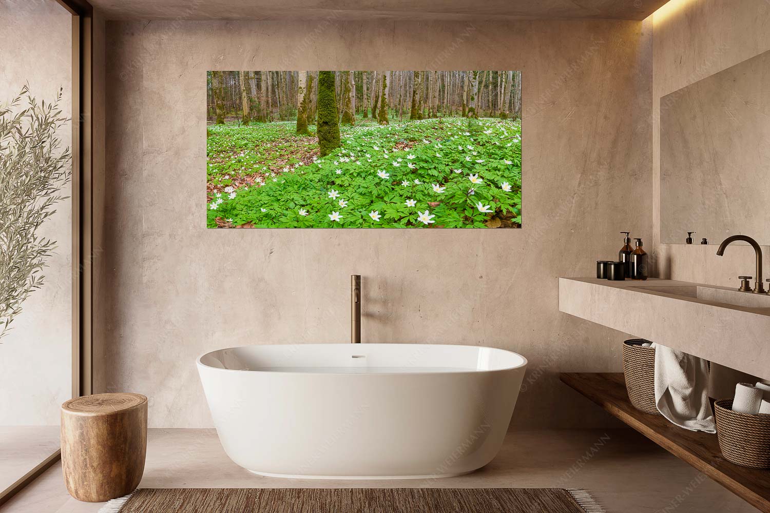 Röschenteppich – Größe ca. 180x90cm, Seitenverhältnis 2:1 — Buschwindröschen Buschwindröschen bei Murnau - Röschenteppich - Größe ca. 180x90cm, Seitenverhältnis 2:1 - Buschwindröschen - weitere Infos unter https://www.kriner-weiermann.de