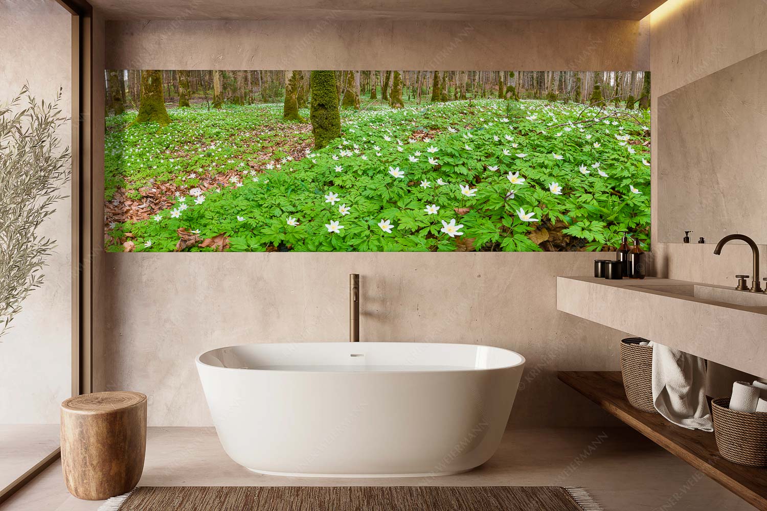 Röschenteppich – Größe ca. 300x100cm, Seitenverhältnis 3:1 — Buschwindröschen Buschwindröschen bei Murnau - Röschenteppich - Größe ca. 300x100cm, Seitenverhältnis 3:1 - Buschwindröschen - weitere Infos unter https://www.kriner-weiermann.de