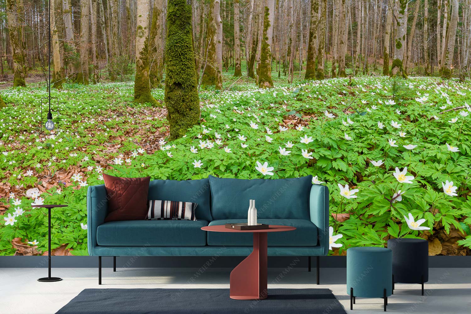 Röschenteppich – Größe ca. 400x200cm, Seitenverhältnis 2:1 — Buschwindröschen Buschwindröschen bei Murnau - Röschenteppich - Größe ca. 400x200cm, Seitenverhältnis 2:1 - Buschwindröschen - weitere Infos unter https://www.kriner-weiermann.de