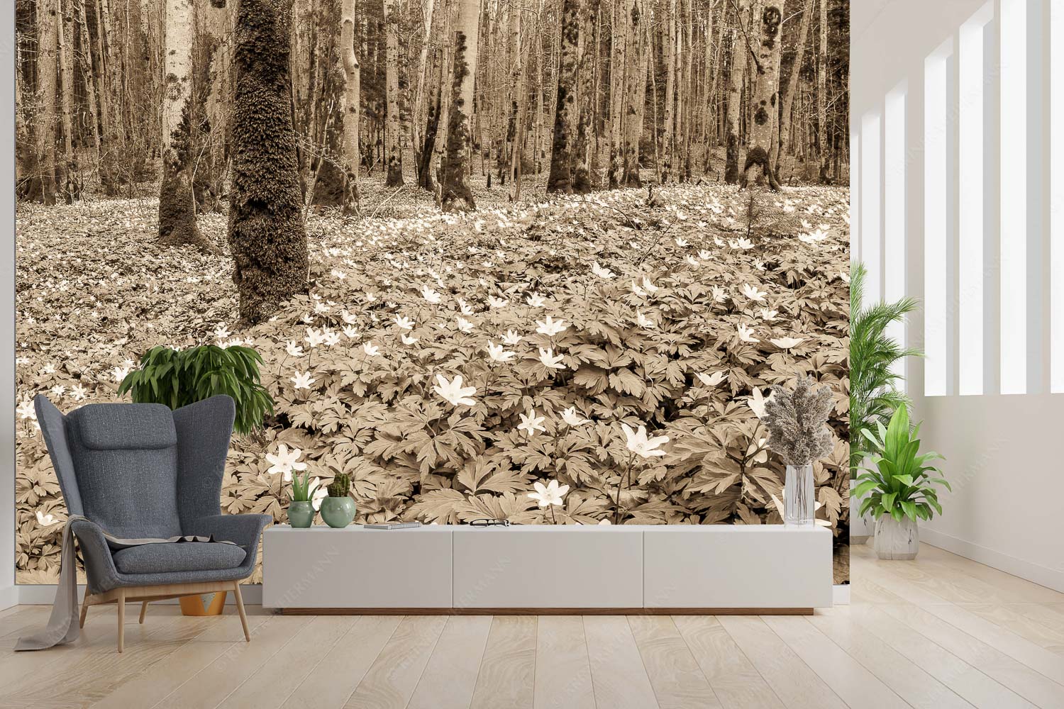 Röschenteppich – Größe ca. 300x200cm, Seitenverhältnis 3:2 — Buschwindröschen Buschwindröschen bei Murnau - Röschenteppich - Größe ca. 300x200cm, Seitenverhältnis 3:2 - Buschwindröschen - weitere Infos unter https://www.kriner-weiermann.de