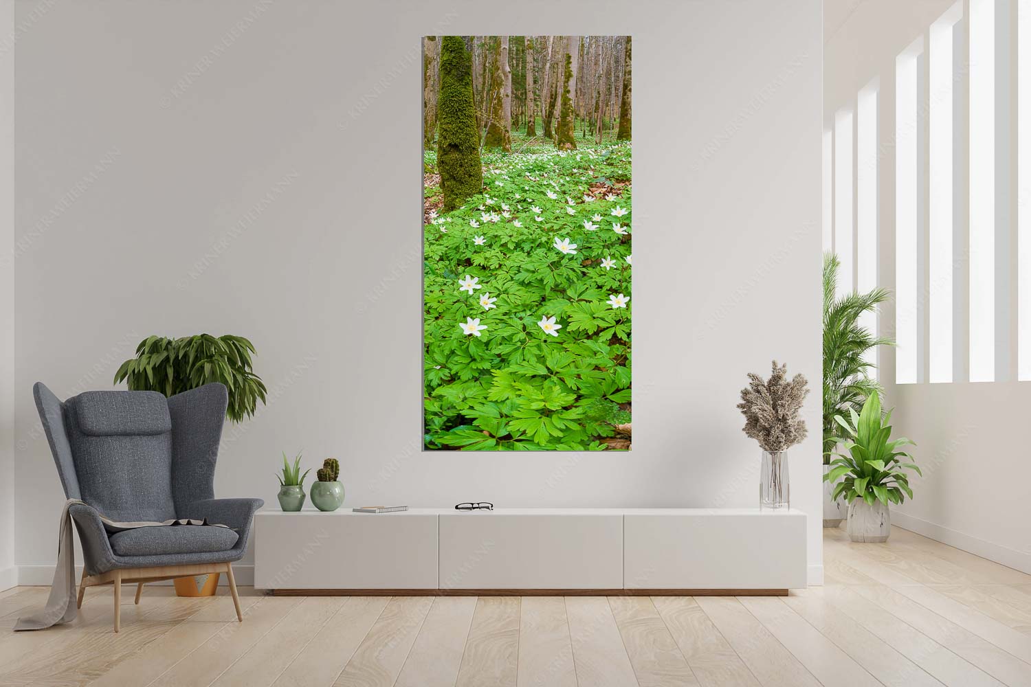 Buschwindröschen bei Murnau - Röschenteppich - Größe ca. 90x180cm, Seitenverhältnis 1:2 - Buschwindröschen - weitere Infos unter https://www.kriner-weiermann.de