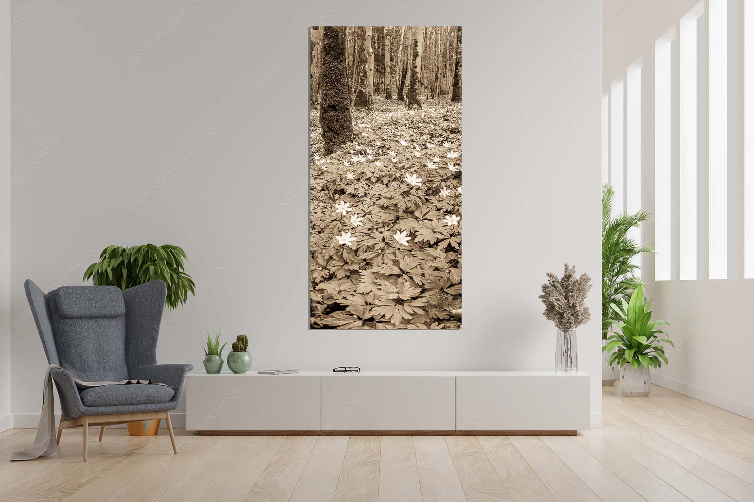 Buschwindröschen bei Murnau - Röschenteppich - Größe ca. 90x180cm, Seitenverhältnis 1:2 - Buschwindröschen - weitere Infos unter https://www.kriner-weiermann.de