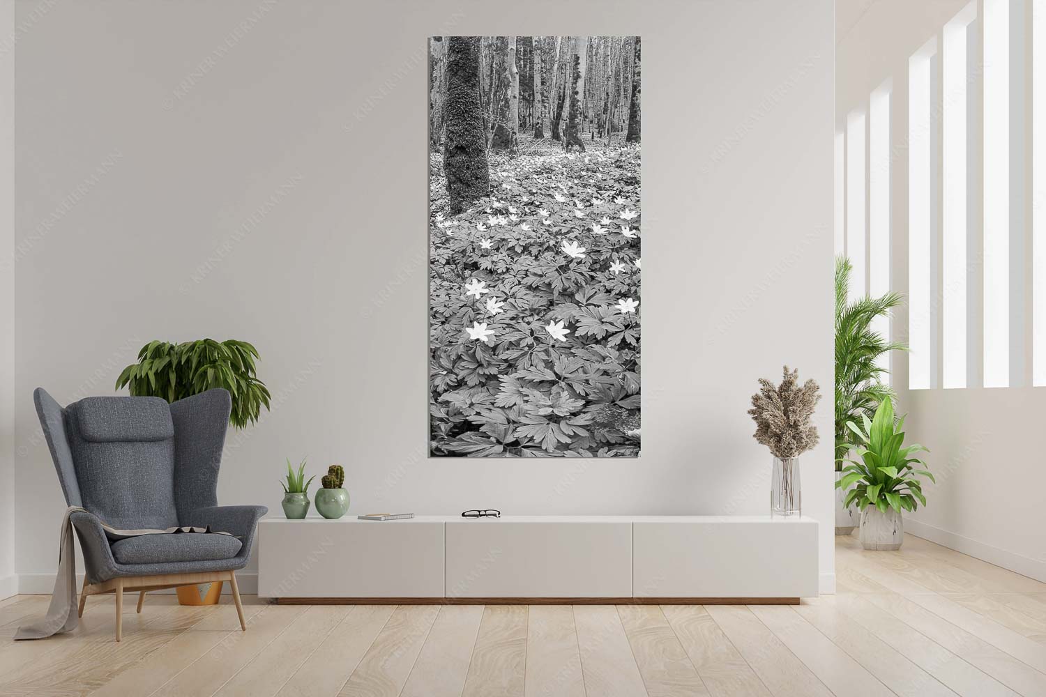 Buschwindröschen bei Murnau - Röschenteppich - Größe ca. 90x180cm, Seitenverhältnis 1:2 - Buschwindröschen - weitere Infos unter https://www.kriner-weiermann.de