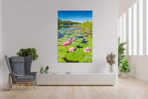 Seerosen am Geroldsee mit Blick zur Alpspitze, Zugspitze und Waxenstein - Rosenteppich - Größe ca. 120x180cm, Seitenverhältnis 2:3 - Seerosen am Geroldsee - weitere Infos unter https://www.kriner-weiermann.de