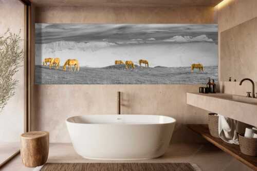 Haflinger Pferde auf der Sommerweide am Wank mit Wettersteingebirge im Hintergrund - Roßwank II - Größe ca. 300x100cm, Seitenverhältnis 3:1 - Haflinger Pferde am Wank - weitere Infos unter https://www.kriner-weiermann.de