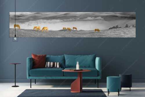 Haflinger Pferde auf der Sommerweide am Wank mit Wettersteingebirge im Hintergrund - Roßwank II - Größe ca. 350x70cm, Seitenverhältnis 5:1 - Haflinger Pferde am Wank - weitere Infos unter https://www.kriner-weiermann.de