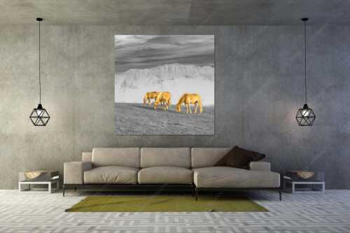 Haflinger Pferde auf der Sommerweide am Wank mit Wettersteingebirge im Hintergrund - Roßwank II - Größe ca. 160x160cm, Seitenverhältnis 1:1 - Haflinger Pferde am Wank - weitere Infos unter https://www.kriner-weiermann.de
