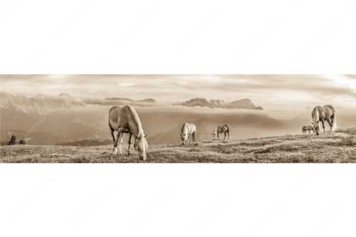 Haflinger Pferde auf der Sommerweide am Wank im Estergebirge mit Zugspitze im Hintergrund - Roßwank - Seitenverhältnis 4:1 - Pferde im Estergebirge - weitere Infos unter https://www.kriner-weiermann.de