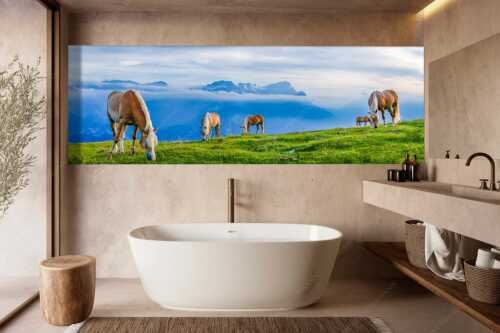 Haflinger Pferde auf der Sommerweide am Wank im Estergebirge mit Zugspitze im Hintergrund - Roßwank - Größe ca. 300x100cm, Seitenverhältnis 3:1 - Pferde im Estergebirge - weitere Infos unter https://www.kriner-weiermann.de