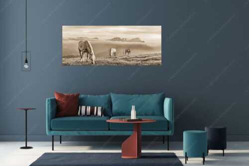 Haflinger Pferde auf der Sommerweide am Wank im Estergebirge mit Zugspitze im Hintergrund - Roßwank - Größe ca. 175x70cm, Seitenverhältnis 2,5:1 - Pferde im Estergebirge - weitere Infos unter https://www.kriner-weiermann.de