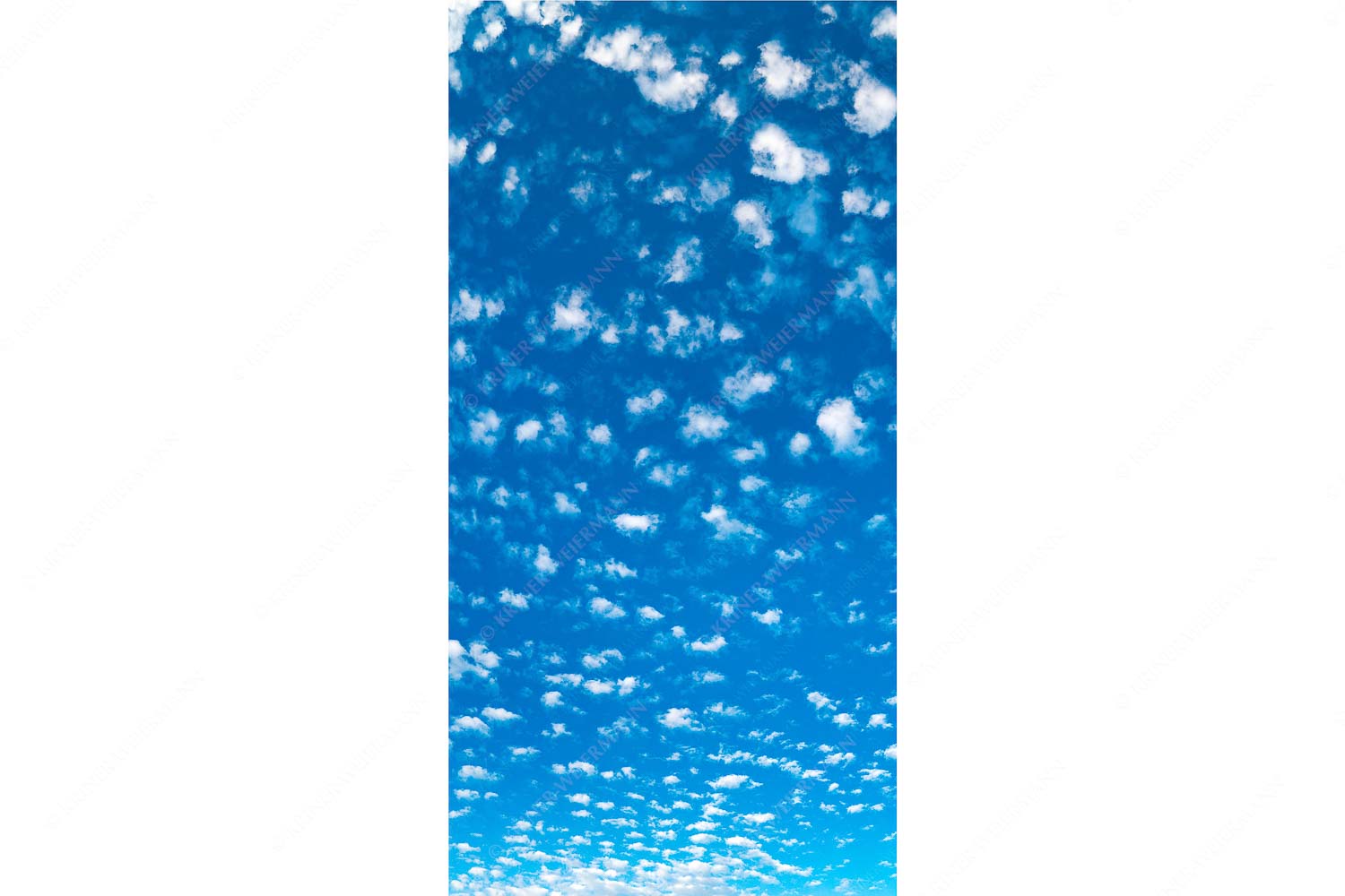 Schäfchen – Seitenverhältnis 1:2 — Schäfchenwolken Blau Weiss Schäfchenwolken am blauen Abendhimmel