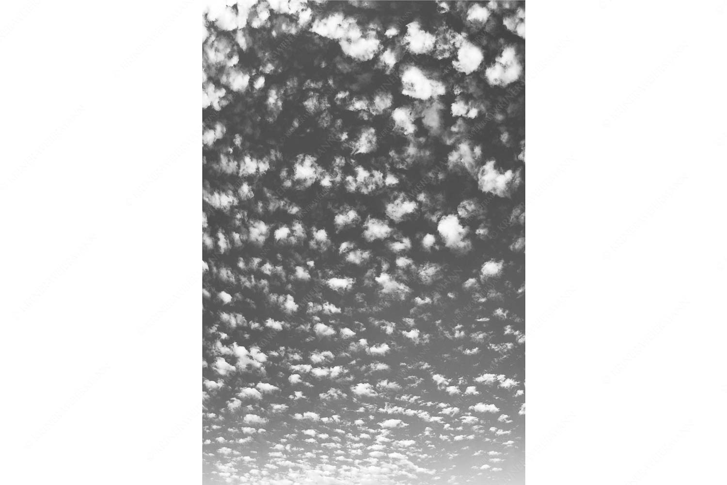 Schäfchenwolken am blauen Abendhimmel