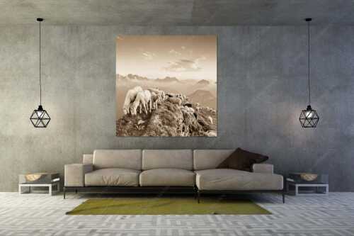 Bergschafe am Schafreiter mit Blick ins Karwendel und Wetterstein - Schafreiter - Größe ca. 160x160cm, Seitenverhältnis 1:1 - Bergschafe im Karwendel - weitere Infos unter https://www.kriner-weiermann.de