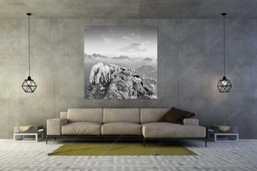 Bergschafe am Schafreiter mit Blick ins Karwendel und Wetterstein - Schafreiter - Größe ca. 160x160cm, Seitenverhältnis 1:1 - Bergschafe im Karwendel - weitere Infos unter https://www.kriner-weiermann.de