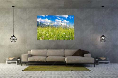 Blumenwiese bei Krün mit Karwendelgebirge im Hintergrund - Scheane Wiesn - Größe ca. 180x120cm, Seitenverhältnis 3:2 - Alpen Blumen Karwendel - weitere Infos unter https://www.kriner-weiermann.de