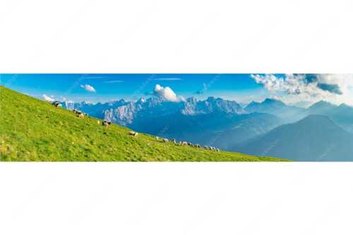 Bergschafe am Schafreiter mit Blick zum Karwendelhauptkamm - Schönste Karwendelweiden - Seitenverhältnis 4:1 - Schafe im Karwendel - weitere Infos unter https://www.kriner-weiermann.de