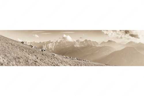 Bergschafe am Schafreiter mit Blick zum Karwendelhauptkamm - Schönste Karwendelweiden - Seitenverhältnis 4:1 - Schafe im Karwendel - weitere Infos unter https://www.kriner-weiermann.de