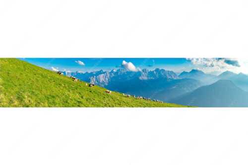 Bergschafe am Schafreiter mit Blick zum Karwendelhauptkamm - Schönste Karwendelweiden - Seitenverhältnis 5:1 - Schafe im Karwendel - weitere Infos unter https://www.kriner-weiermann.de