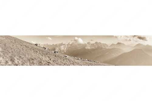 Bergschafe am Schafreiter mit Blick zum Karwendelhauptkamm - Schönste Karwendelweiden - Seitenverhältnis 5:1 - Schafe im Karwendel - weitere Infos unter https://www.kriner-weiermann.de