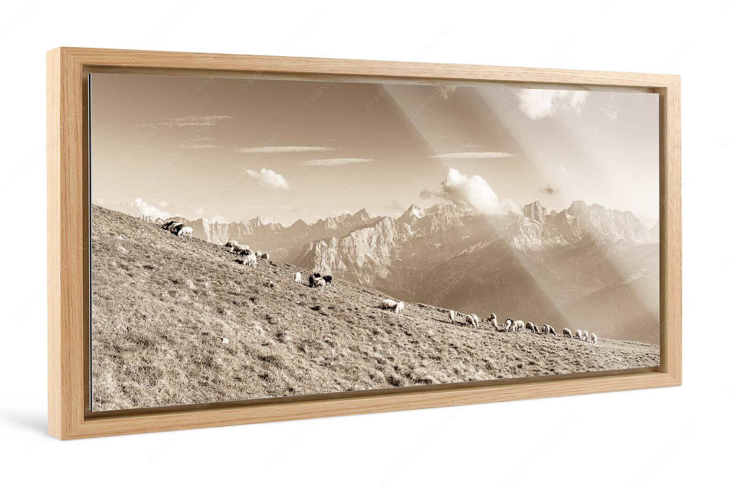 Schönste Karwendelweiden – Foto im Schattenfugen-Rahmen — Schafe im Karwendel Bergschafe am Schafreiter mit Blick zum Karwendelhauptkamm - Schönste Karwendelweiden - Foto im Schattenfugen-Rahmen - Schafe im Karwendel - weitere Infos unter https://www.kriner-weiermann.de