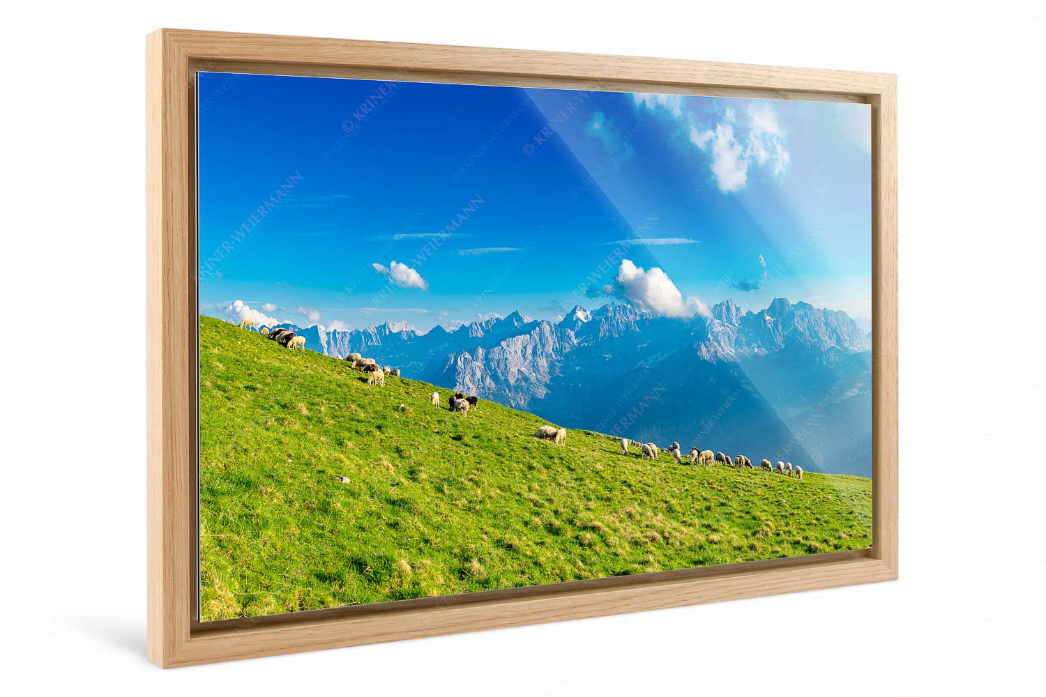 Schönste Karwendelweiden – Foto im Schattenfugen-Rahmen — Schafe im Karwendel Bergschafe am Schafreiter mit Blick zum Karwendelhauptkamm - Schönste Karwendelweiden - Foto im Schattenfugen-Rahmen - Schafe im Karwendel - weitere Infos unter https://www.kriner-weiermann.de