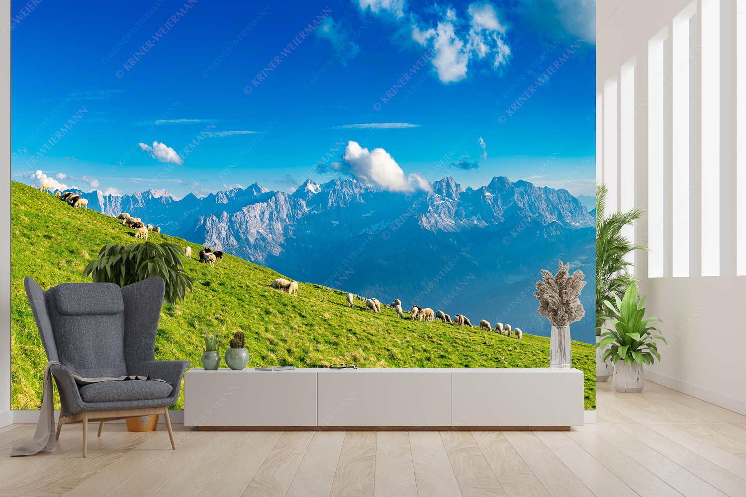 Schönste Karwendelweiden – Größe ca. 300x200cm, Seitenverhältnis 3:2 — Schafe im Karwendel Bergschafe am Schafreiter mit Blick zum Karwendelhauptkamm - Schönste Karwendelweiden - Größe ca. 300x200cm, Seitenverhältnis 3:2 - Schafe im Karwendel - weitere Infos unter https://www.kriner-weiermann.de