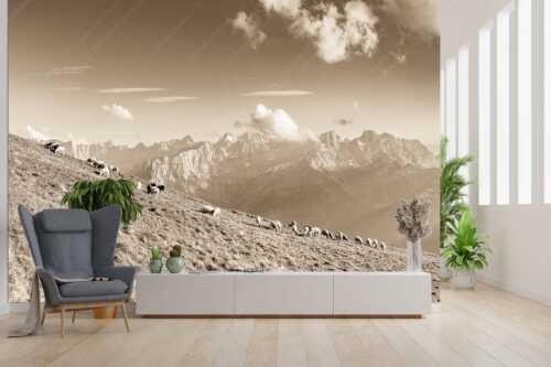Bergschafe am Schafreiter mit Blick zum Karwendelhauptkamm - Schönste Karwendelweiden - Größe ca. 300x200cm, Seitenverhältnis 3:2 - Schafe im Karwendel - weitere Infos unter https://www.kriner-weiermann.de