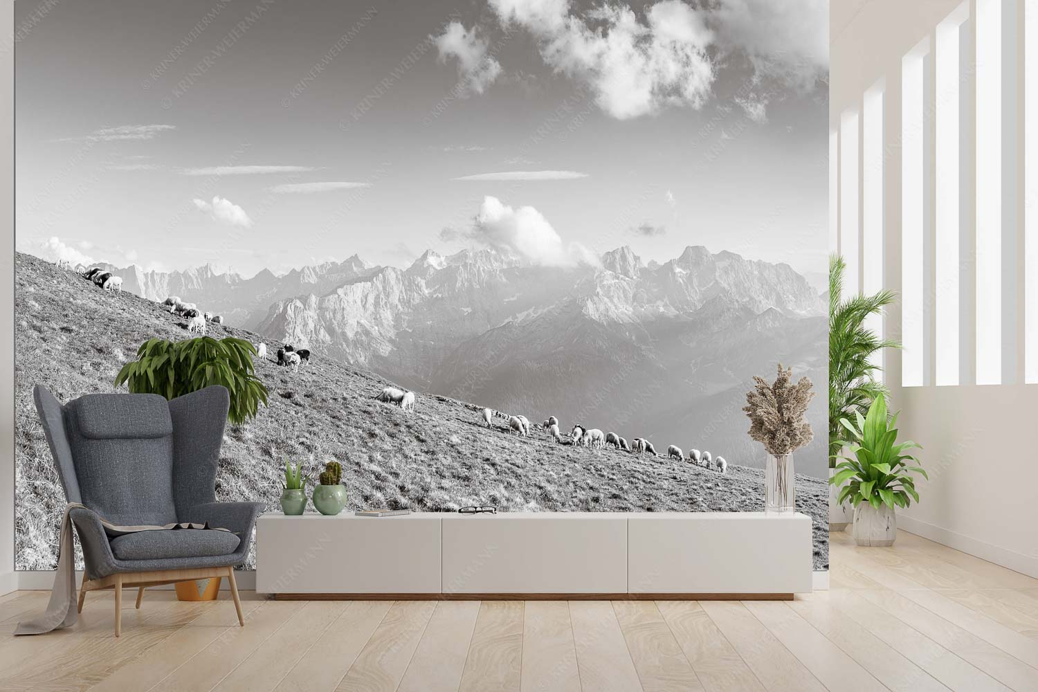 Schönste Karwendelweiden – Größe ca. 300x200cm, Seitenverhältnis 3:2 — Schafe im Karwendel Bergschafe am Schafreiter mit Blick zum Karwendelhauptkamm - Schönste Karwendelweiden - Größe ca. 300x200cm, Seitenverhältnis 3:2 - Schafe im Karwendel - weitere Infos unter https://www.kriner-weiermann.de